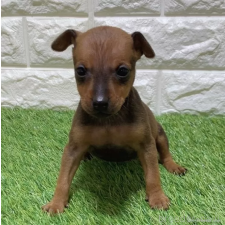 オンライン見学