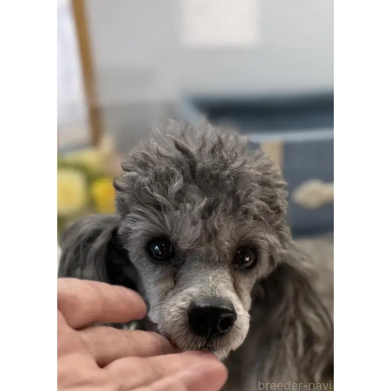 アグリちゃんちゃん4枚目