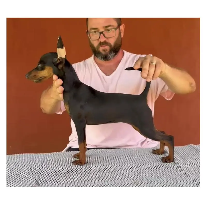 コッティちゃん2枚目