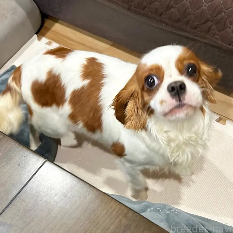 しおんちゃん2枚目