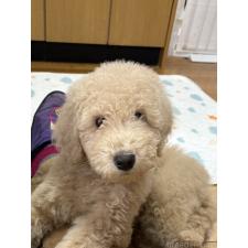 オンライン見学