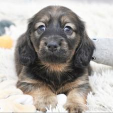 オンライン見学