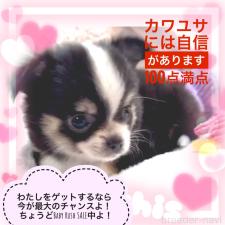 オンライン見学