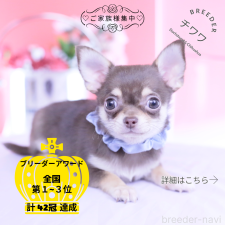 オンライン見学