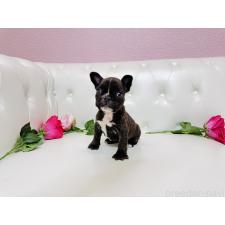 オンライン見学