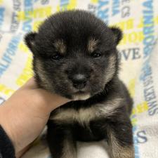 オンライン見学