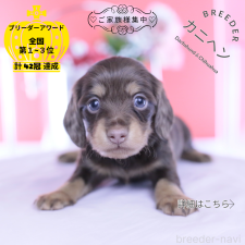 オンライン見学