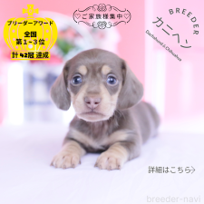 オンライン見学