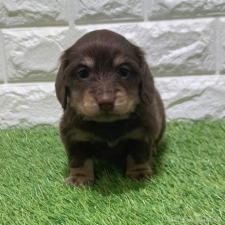 オンライン見学