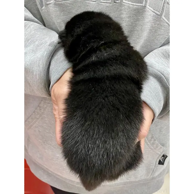 販売中の熊本県の柴犬-451994の2枚目