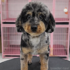 オンライン見学