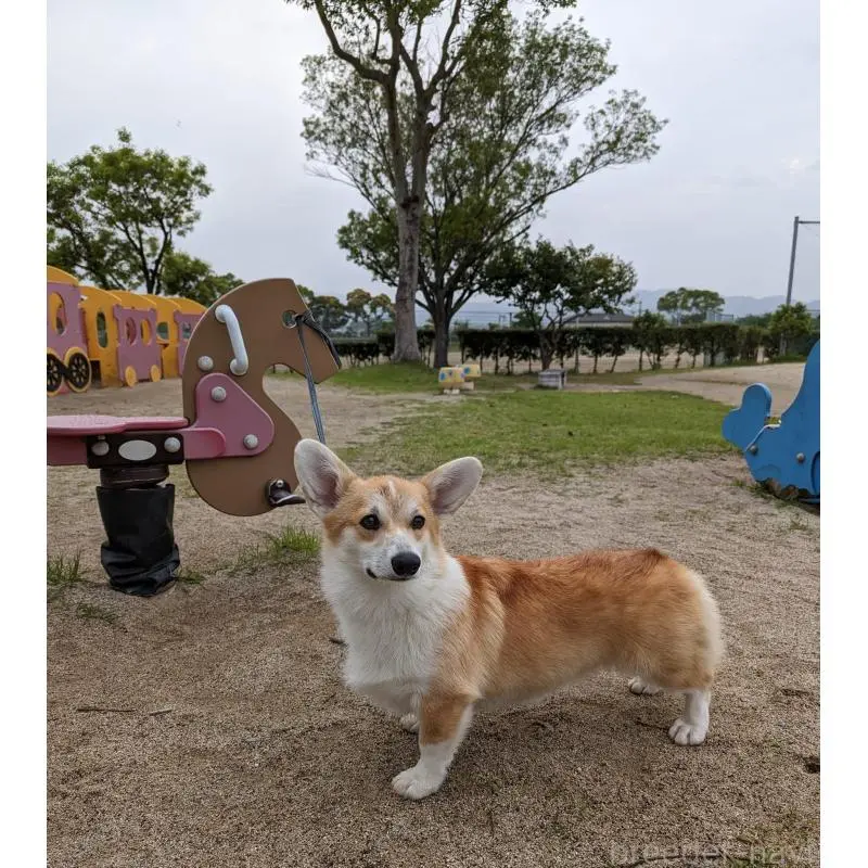 エリーちゃん2枚目