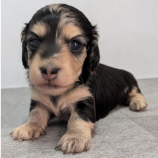 オンライン見学