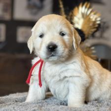 オンライン見学