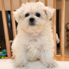 オンライン見学