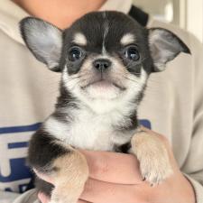 オンライン見学