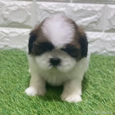 オンライン見学