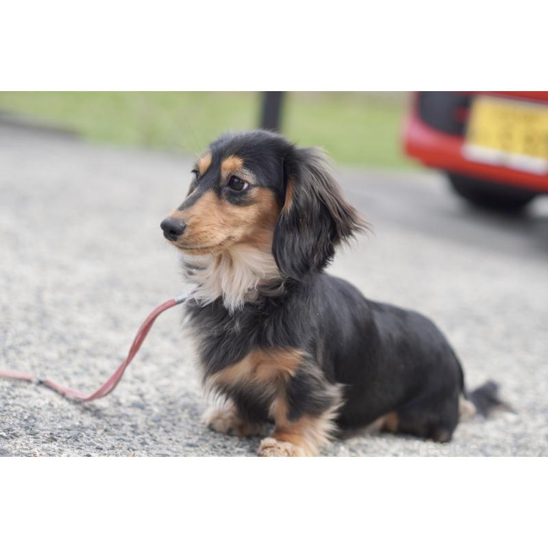 メルちゃん4枚目