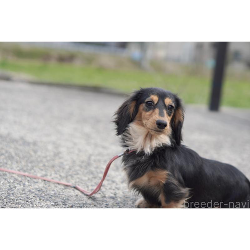 メルちゃん5枚目