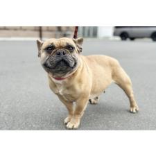 オンライン見学