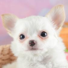 オンライン見学