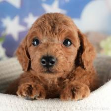 オンライン見学