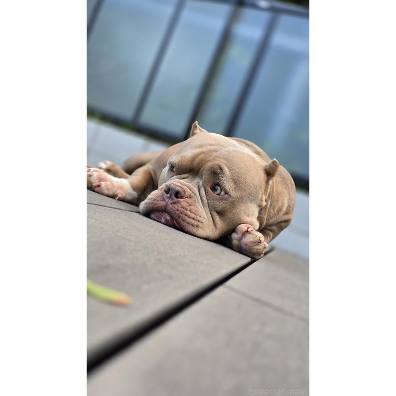 Ginnaちゃん1枚目