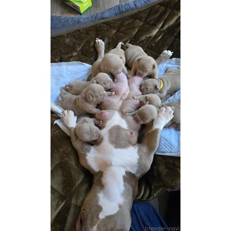 Ginnaちゃん2枚目