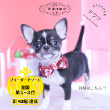 オンライン見学