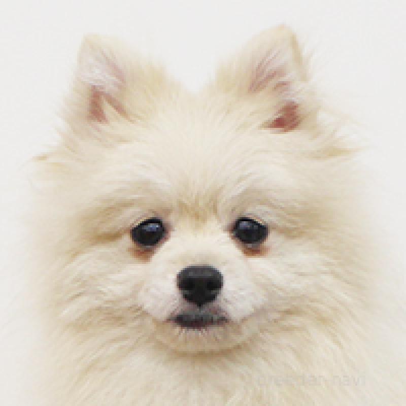 こすけくん1枚目