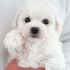 オンライン見学