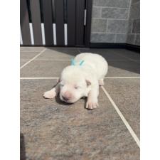 オンライン見学