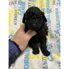 オンライン見学