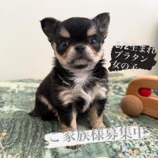 オンライン見学