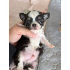 オンライン見学