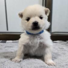 オンライン見学