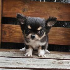 オンライン見学