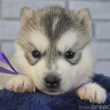 オンライン見学