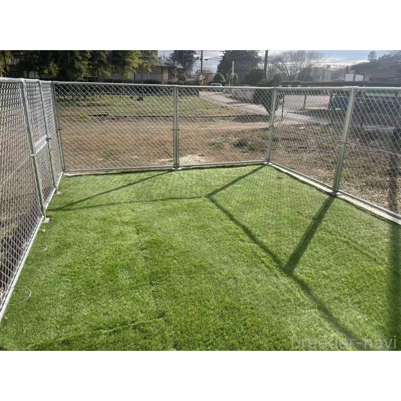 犬舎紹介の茨城県の犬舎紹介-5458の2枚目