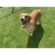 曽 楠軒ブリーダー