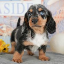 オンライン見学