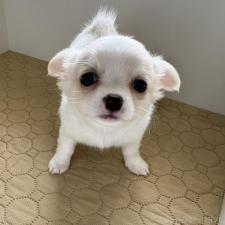 オンライン見学