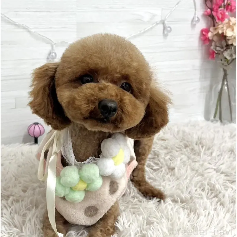 春音ちゃん2枚目