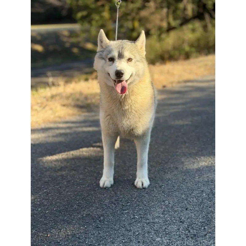 花梅ちゃん2枚目