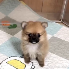 オンライン見学