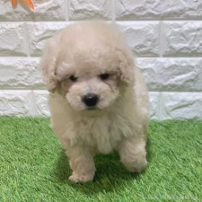 オンライン見学