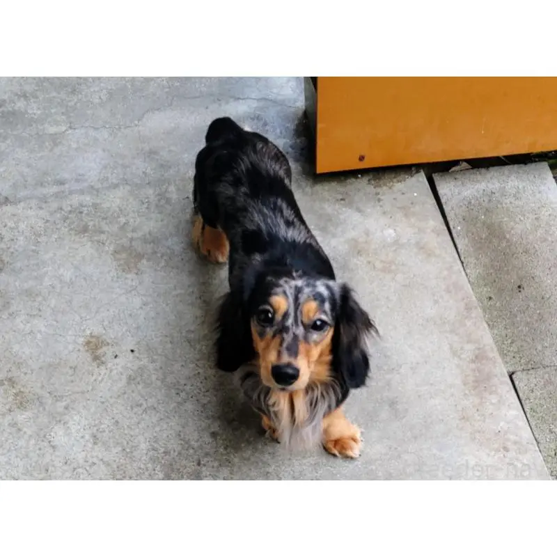 みおちゃん2枚目