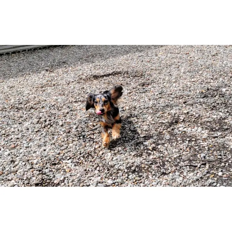 みおちゃん3枚目