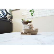 オンライン見学