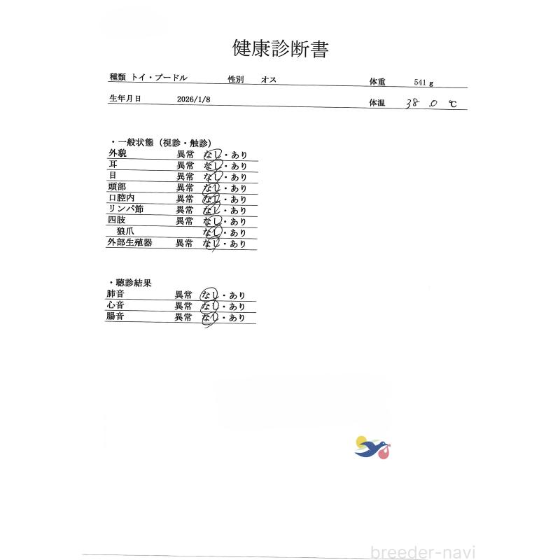 販売中の群馬県のトイプードル-452257の4枚目